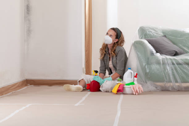 Reliable Mold Remediation contractor in Dayton, TX by WQB Mold Removal